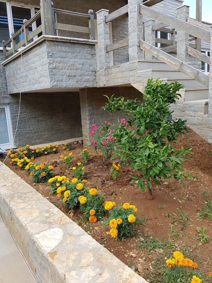 Sofia'S Holiday Apartment فلورا المظهر الخارجي الصورة