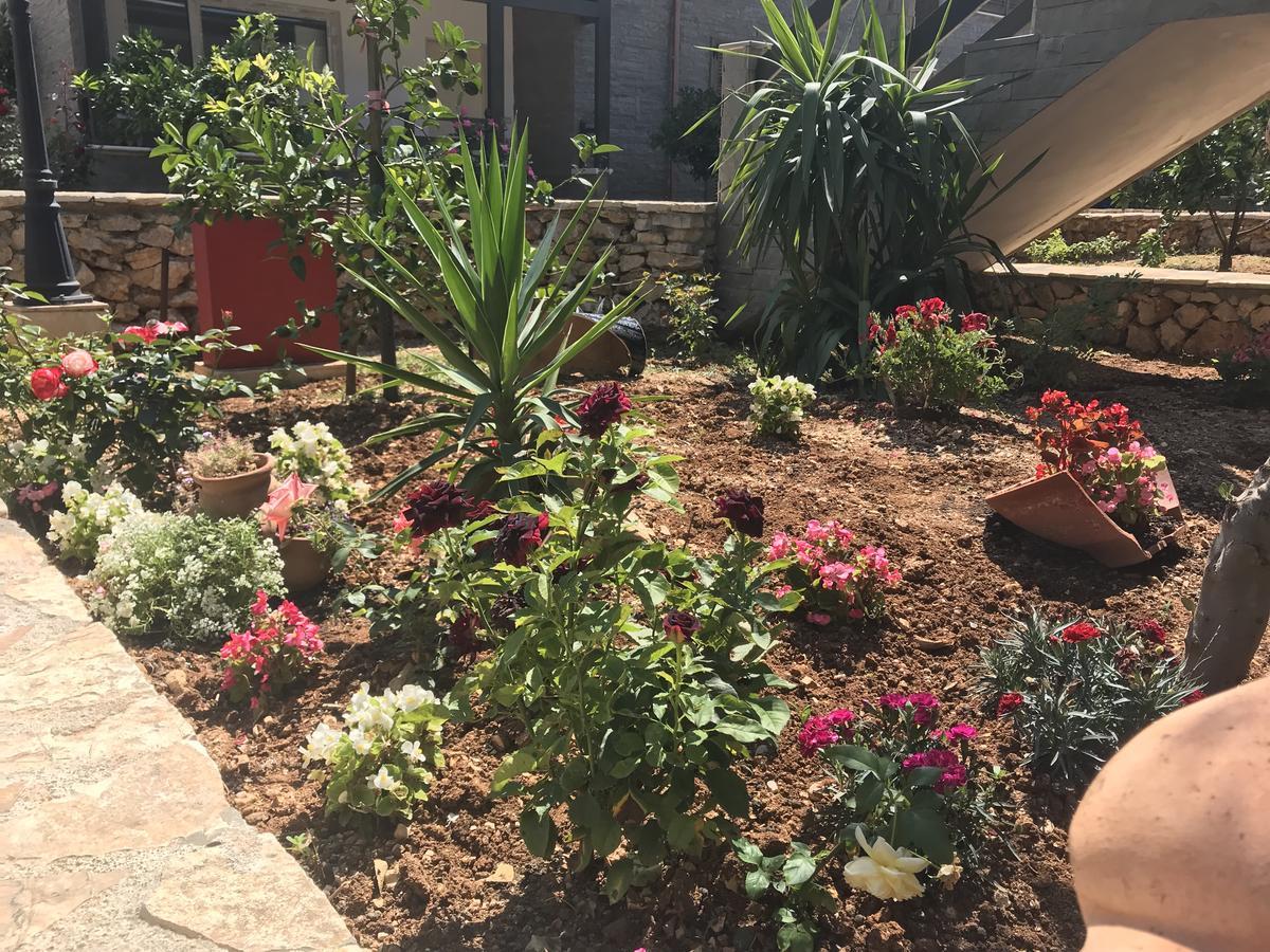 Sofia'S Holiday Apartment فلورا المظهر الخارجي الصورة